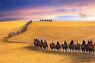 一带一路 精品丝路之旅│每人补贴1000元,乘 援疆号 到喀纳斯 敦煌赏西北醉美秋色