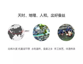 江南丝路 蚕缘家纺超级产品在丝绸之路上焕新启程